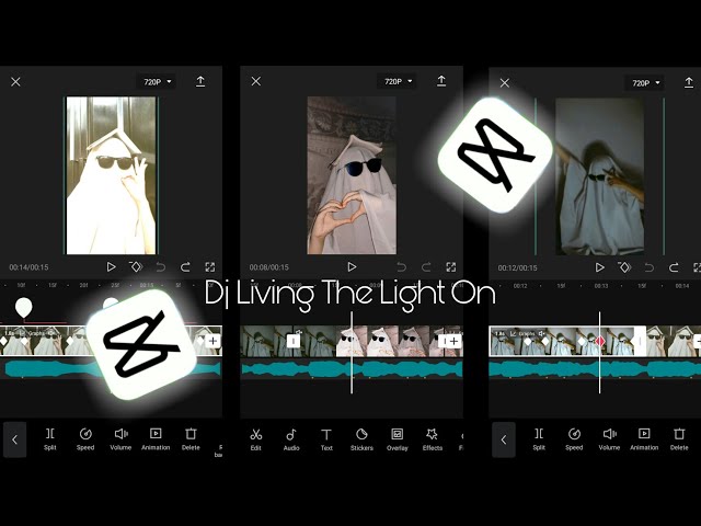 DJ Living The Light On | Tiktok | Capcut | Ly_x_Capcut class=