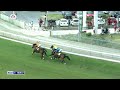 Hippisme : Suivez en direct la 4e course de la 6ème journée de course au Champ de Mars.