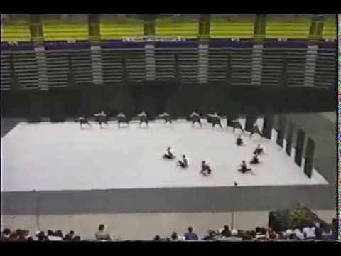 2003 -  Madisonville North Hopkins Winterguard - Imaginary Friend