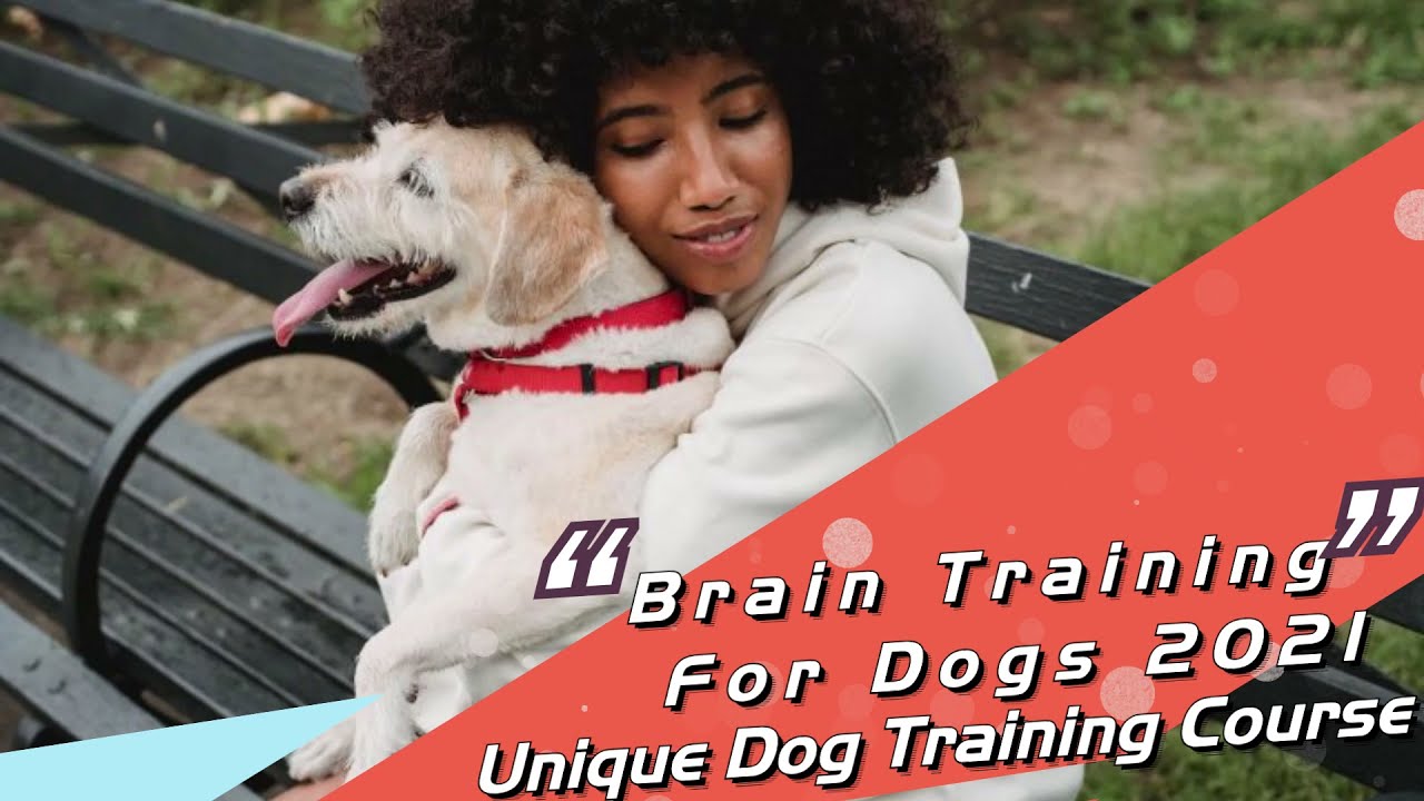 brain training 4 dogs-Unique Dog Training Course 2021