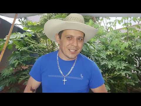 Parabéns Lima Campos/MA