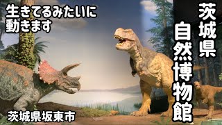 茨城県坂東市　ミュージアムパーク茨城県自然博物館