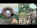 rainy days in jeju | rain, donuts, and surfing | korea vlog