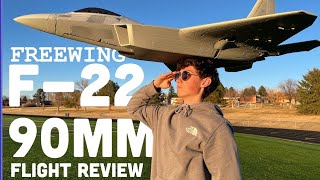 FREEWING F-22 90mm Flight Video…