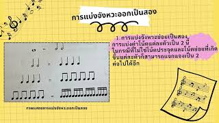 ทฤษฎีดนตรี | จังหวะ