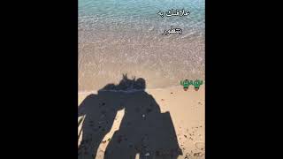 صاحب وفي نعمة بالمال ميتقدرش .. لما تلاقيه خليك معاك وفيه متفرطش ⁦❤️⁩👭 #voiceover #audiobook #shorts