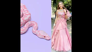 All Nagin Acterss Vs Snake 