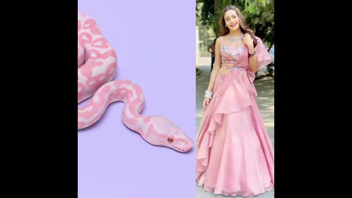 all nagin acterss vs snake🐍