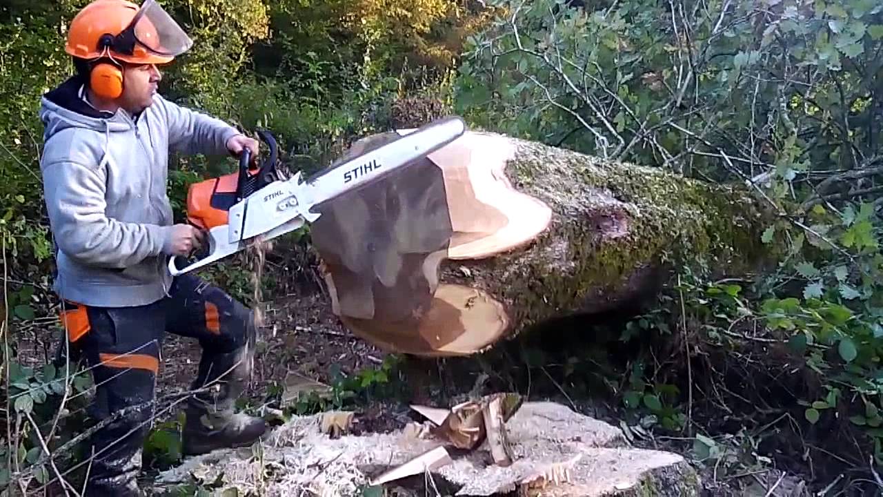 Bûcheronnage en forêt - YouTube