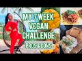 My 7 Week Vegan Challenge || Pros &amp; Cons