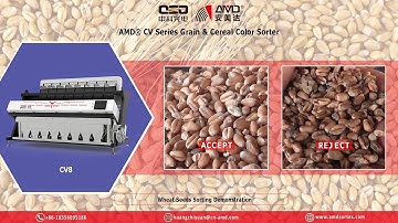 AMD® Grain Optical Sortex CV8 Cereal Crops Color Sorter Machine Price for Wheat Seeds Sorting
