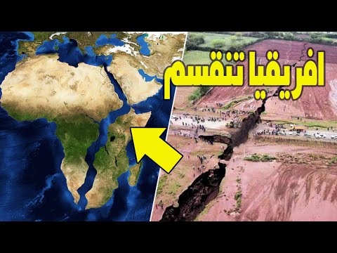 فيديو: التمثيل الغذائي ليس له علاقة به