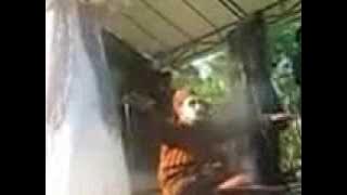PESUGIHAN 666   tumbal pesugihan ci muning YouTube