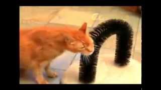 Когтеточка со щеткой «Кошачье Удовольстве» Purrfect Arch Когтеточка со щеткой «Кошачье Удовольстве» Purrfect Arch