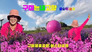 #GumiSportsPark #AsterFlowers #GumiIsMyHometown🎶Geumsuni:OriginalSong