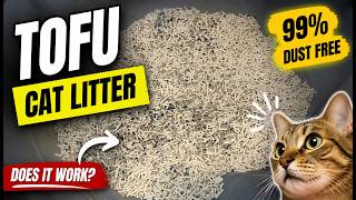 This Dust Free Litter Changed Everything HONESTLY
