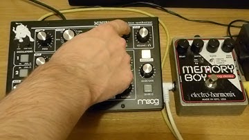 Moog Minitaur & EHX Memory Boy