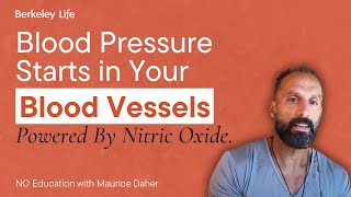 Heart Health & Blood Pressure: How Nitric Oxide Keeps Your Vessels Flexible | Maurice Daher