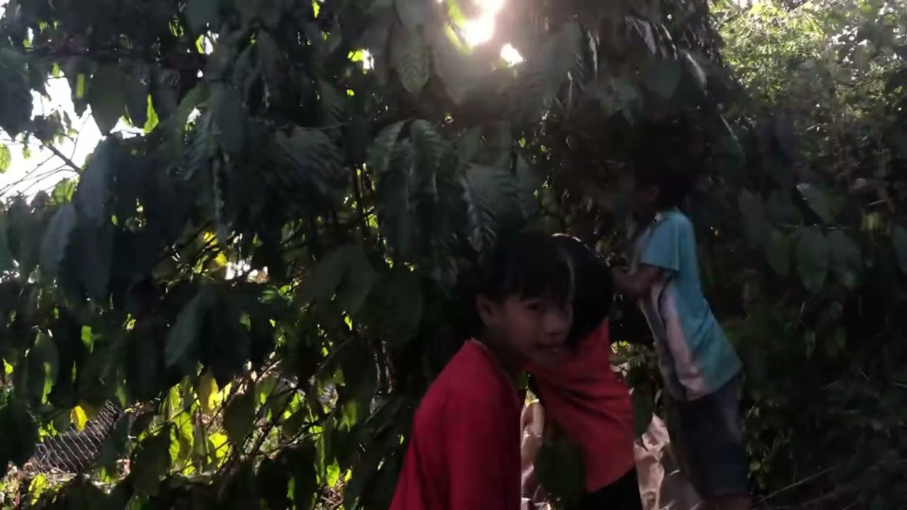 Còn 24 ngày nữa là tới Tết Nguyên Đán 2025 : Kiếm thêm thu nhập đầu tư video mới  !! | Minh Yêu Tết