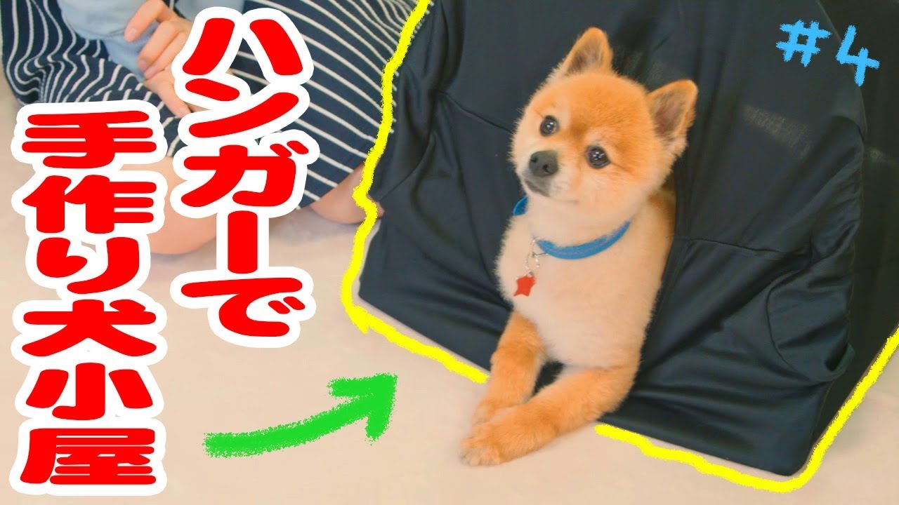 愛犬のためのdiy ハンガーで簡単犬小屋 ドッグパッドチャンネル ４ Youtube