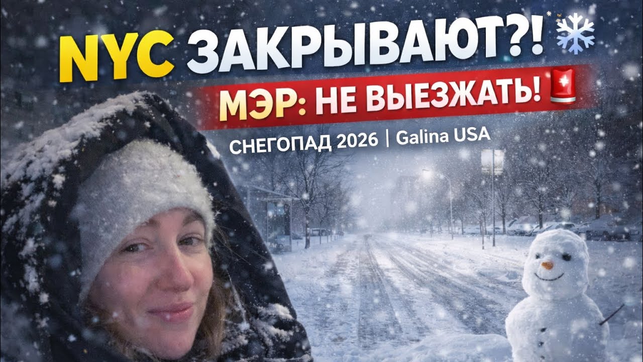 НЬЮ-ЙОРК ЗАКРЫВАЮТ?! ❄️ Мэр запретил выезжать | Сугробы по колено и ястреб у окна!