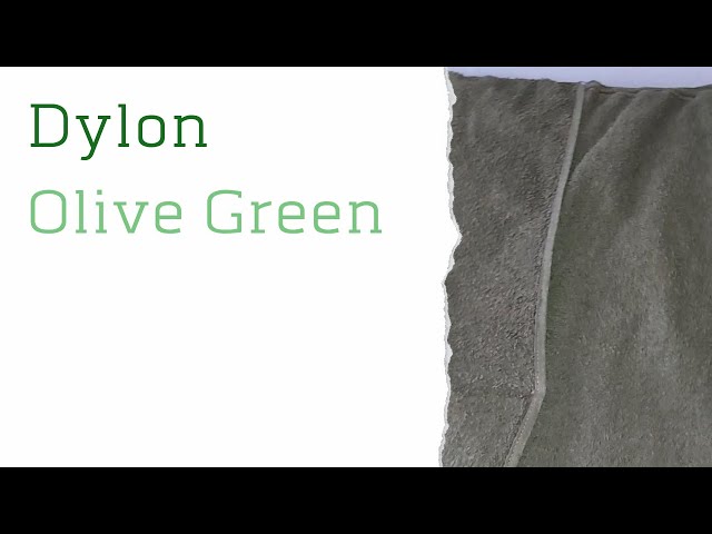 Dylon Fabric Dye, Olive Green- 350g