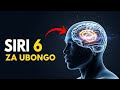Siri 6 Kuhusu UBONGO Wako Ambazo Haujaambiwa Zinabadilisha Maisha