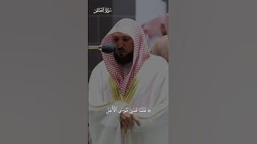تلاوة هادئة من سورة القصص | ماهر المعيقلي