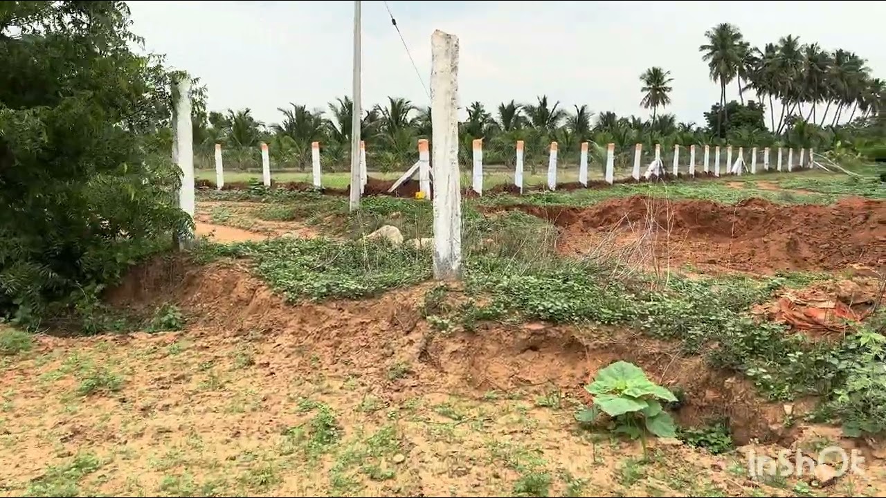 6379170190 திண்டுக்கல் மாவட்டம் RVS collegeக்கு அருகில் 5 ஏக்கர் செம்மண்பூமி விற்பனைக்கு#agricuture 