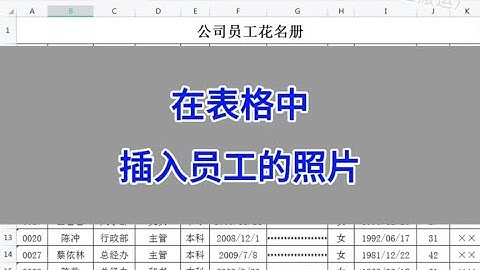 WPS Excel：在表格中插入员工的照片。 #wps #excel #办公技巧
