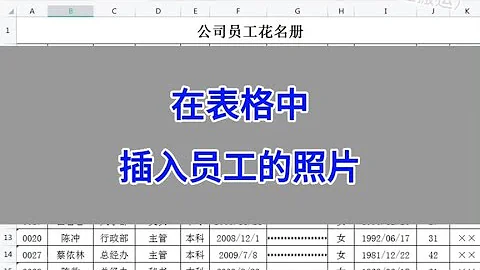 WPS Excel：在表格中插入员工的照片。 #wps #excel #办公技巧 - 天天要闻