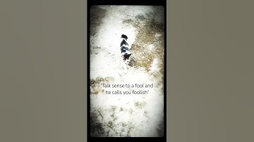 Do not be so open-minded that your brains fall out. #shorts random 🤔💭 #foryou 🍃