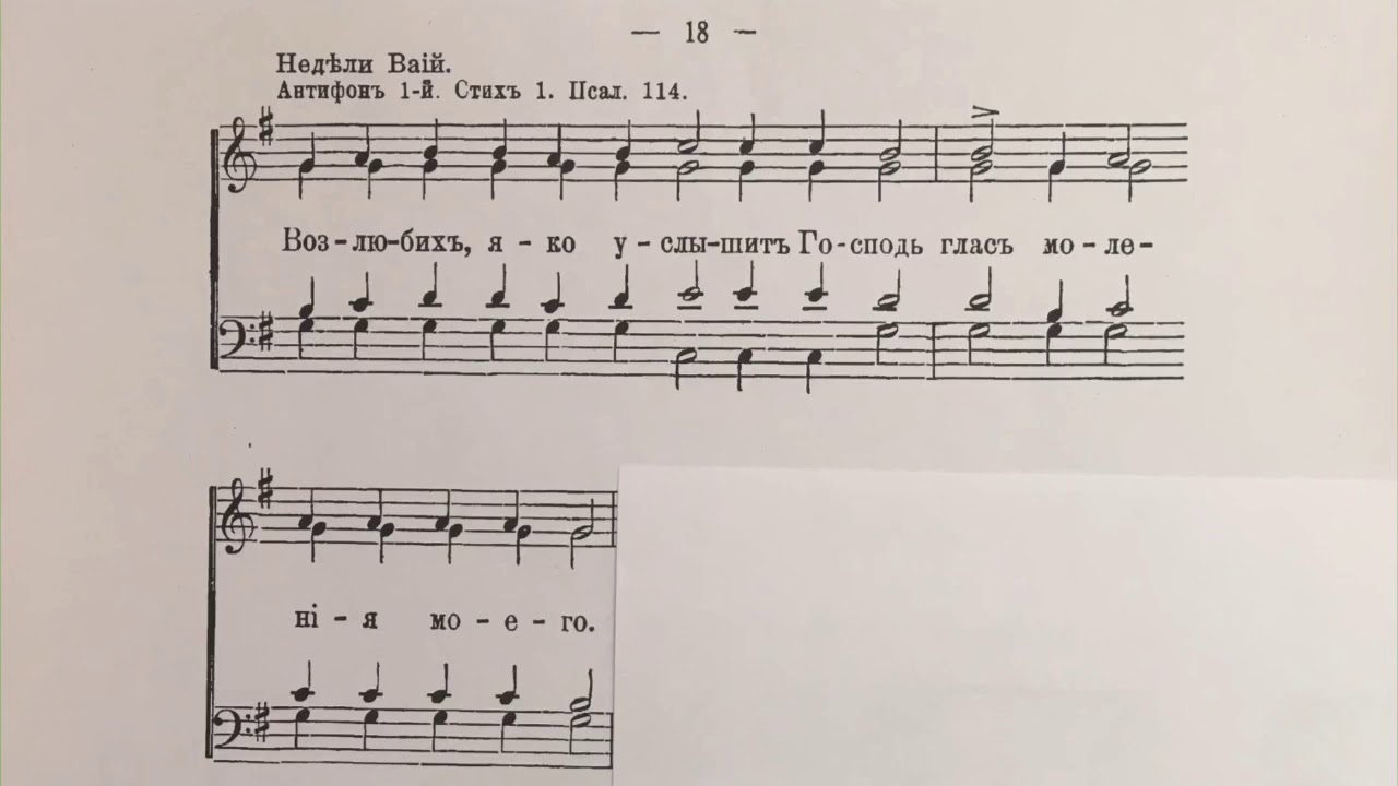 Антифон 1 Ваий первый голос - YouTube