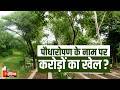 वन विभाग की पौधारोपण योजनाओं पर सवाल, 17 करोड़ रुपये की निकासी, फर्जी बिलों के आरोप | Exclusive