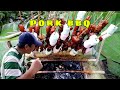 PORK BBQ SKEWERS  | DIY BAMBOO GRILL | COOKING IN NATURE W/ FLOOD & HEAVY RAIN ANTIQUE PHILIPPINES