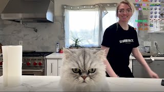 Ludwig Jr. Takes Over Stream