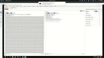 Cache Poisoning POC [X-Forwarded-For Header]