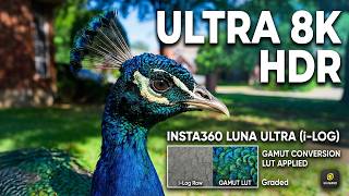 Insta360 Luna Ultra 8K i-Log Manual Test — Peacocks Up Close in Stunning HDR Color screenshot 4