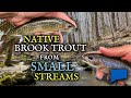 Fishing for wild brook trout in new england