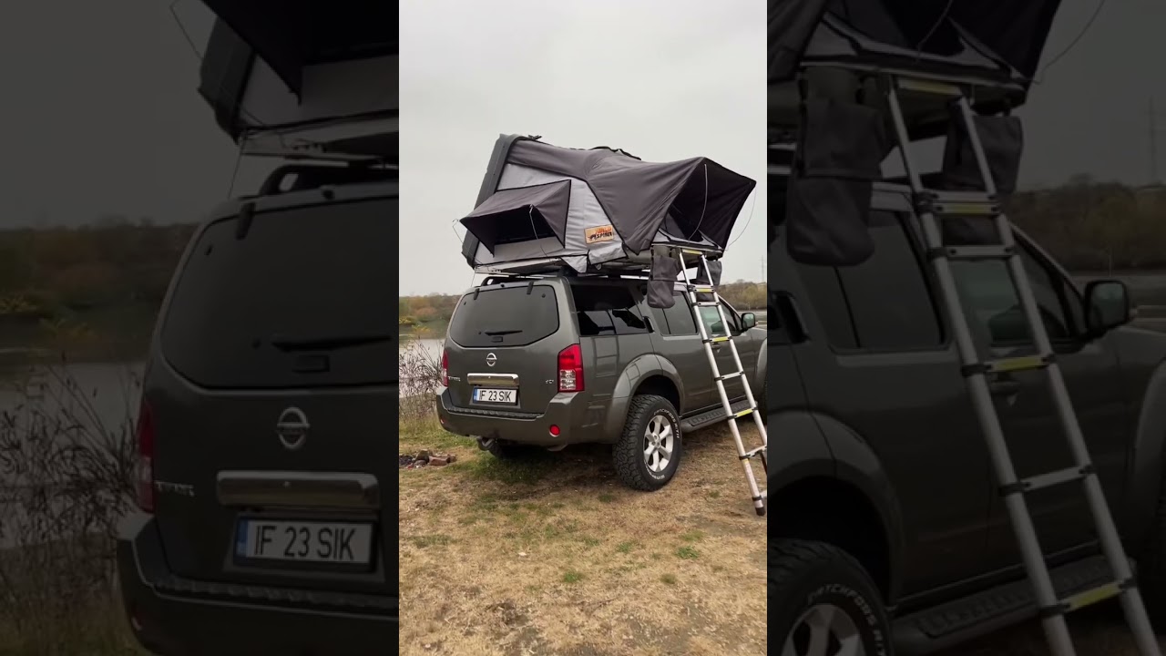 Cort auto de plafon Fiber sport Wild Spirit 