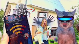 видео: ПРОВЕРЯЕМ НА ПРИЗРАКОВ ДОМ С КОТАМИ! УВИДЕЛИ СТРАШНОЕ картинка: ПРОВЕРЯЕМ НА ПРИЗРАКОВ ДОМ С КОТАМИ! УВИДЕЛИ СТРАШНОЕ