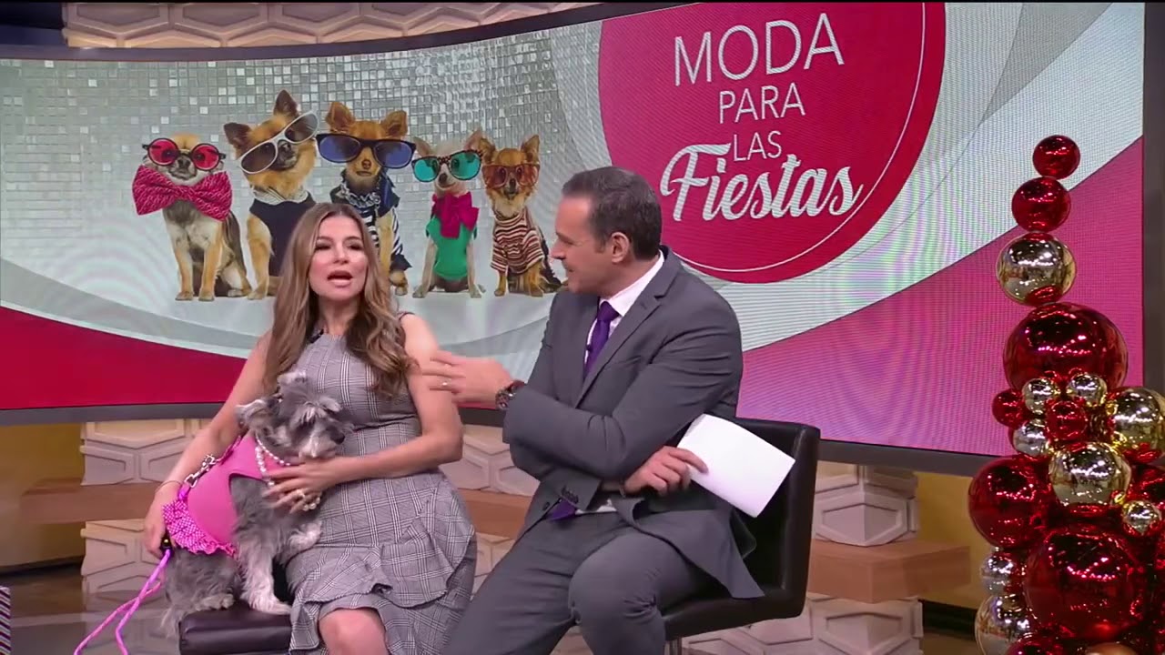 Parisian Pet in Despierta América!