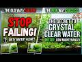 Stop Failing at Planted Tanks! 🌿 The Secret to Crystal Clear, Algae-Free Water