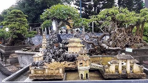Mãn Nhãn Với Những Tiểu Cảnh Bonsai Đẹp - Triển Lãm Cây cảnh Nghệ Thuật Bắc Ninh 2017