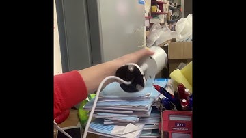 Giải pháp mới lắp camera ip không cần chạy dây mạng . Lắp mạng Internet mà không cần đi dây mạng