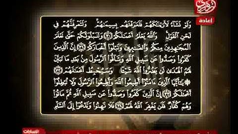 الشيخ حسن مرعب سورة محمد من الآية 29 إلى الآية 32
