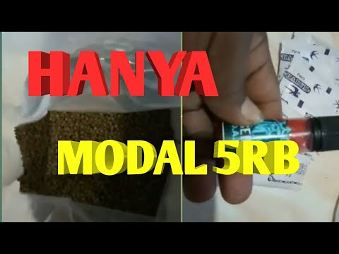 Umpan ikan mas hanya 5rb jamin neter