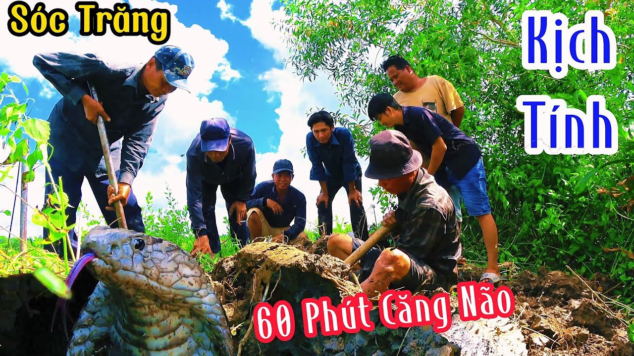 Sóc Trăng (Tập 10) 60 Phút Kịch Tính Đối Đầu Cặp Hổ Mang Canh Giữ Đầm Tôm| Mười Thương Săn Bắt