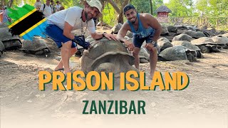 Explore Prison Island Zanzibar | Giant Tortoises, History & Beach with ExploreZanzi.com