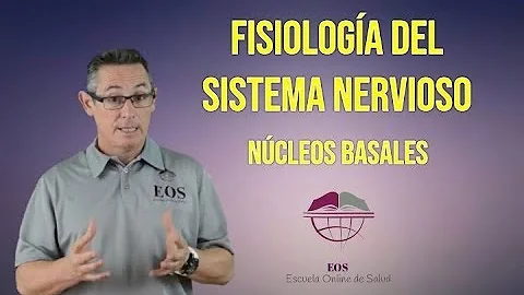 ¿Qué son los núcleos grises?